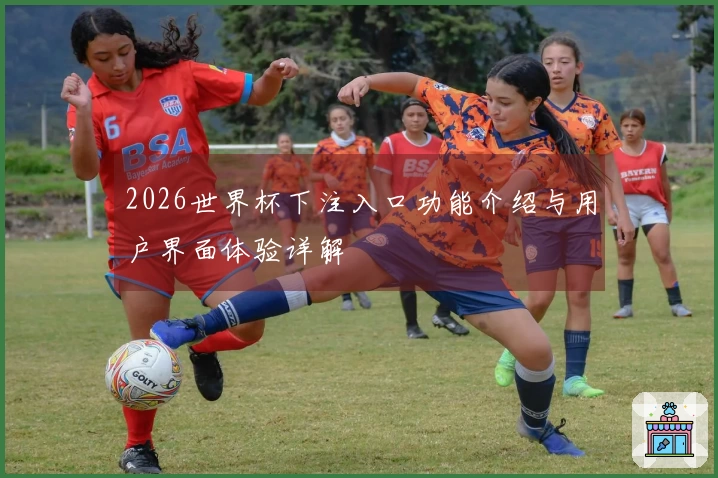 2026世界杯下注入口功能介绍与用户界面体验详解